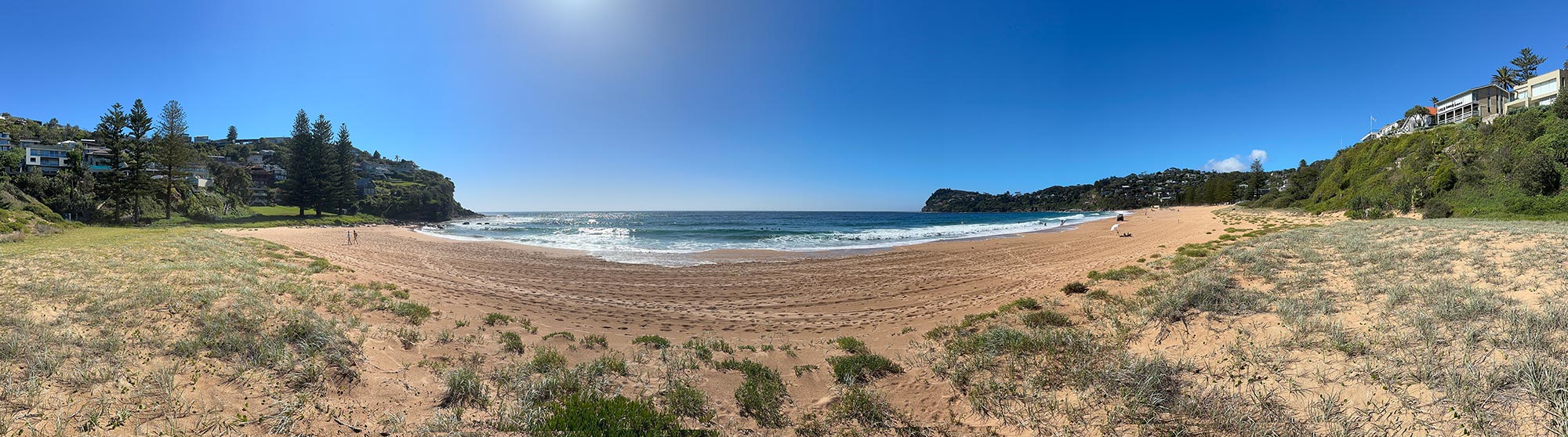 pano-whale-beach